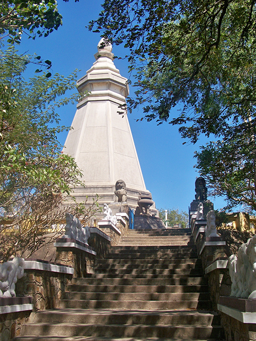Hậu duệ cây Bồ Đề thiêng của Phật tổ trồng ở Vũng Tàu